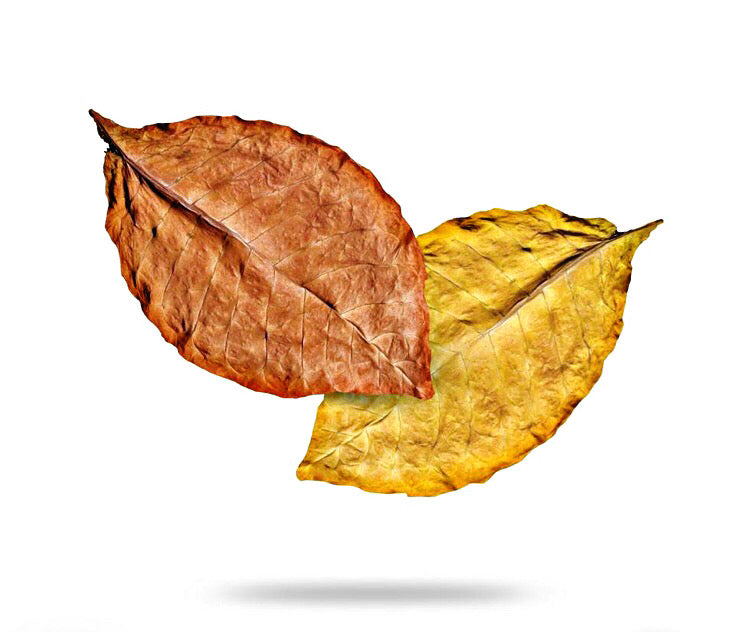 Foglia di tabacco Burley e Virginia Blond